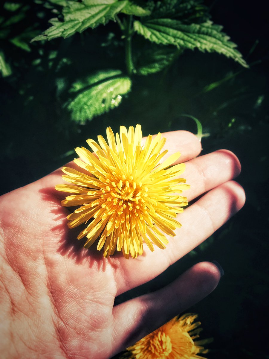 Ani GLAMBERT❤️ tweet media