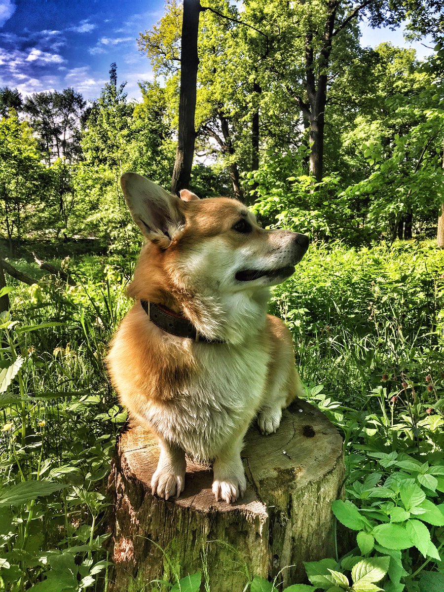 Ani GLAMBERT❤️ tweet media