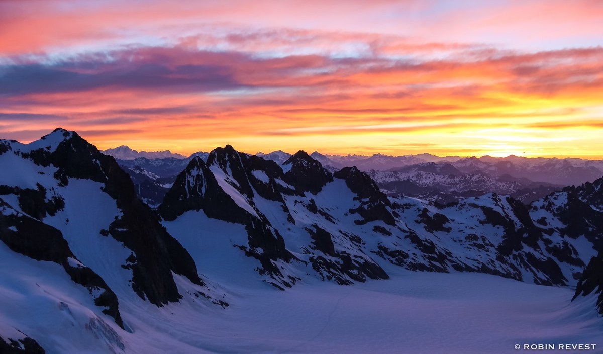 Robin REVEST tweet media