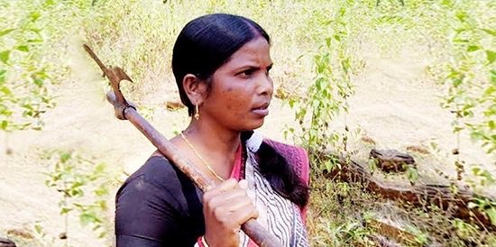 NewscastGlobal's tweet image. Jamuna from Chakulia, #Chhattisgarh forms women's #ForestGuard committee &amp;amp; fights to prevent 'Sal' #TreeSmuggling by wood mafia