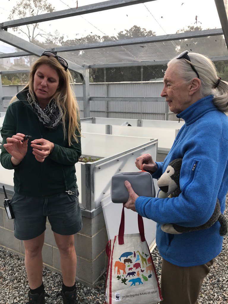 Susan Hunt tweet media