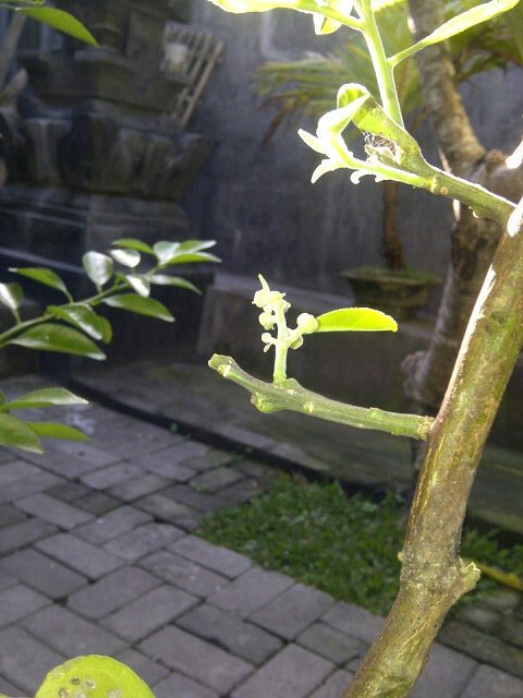 peankmuak's tweet photo. Test https://t.co/SEpFdebKjl