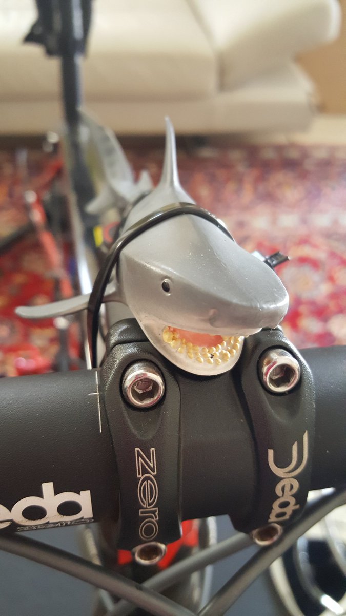 lisaharvey136's tweet photo. Harold the shark, ready to take me all the way to the finish next week. #trytotri #ironmandurban https://t.co/mHQDwLi9La