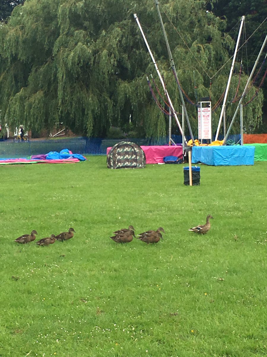 The SW Ducks have come to check out the setup of #SWEvents Village Fete on their Green 😊🎪🦆