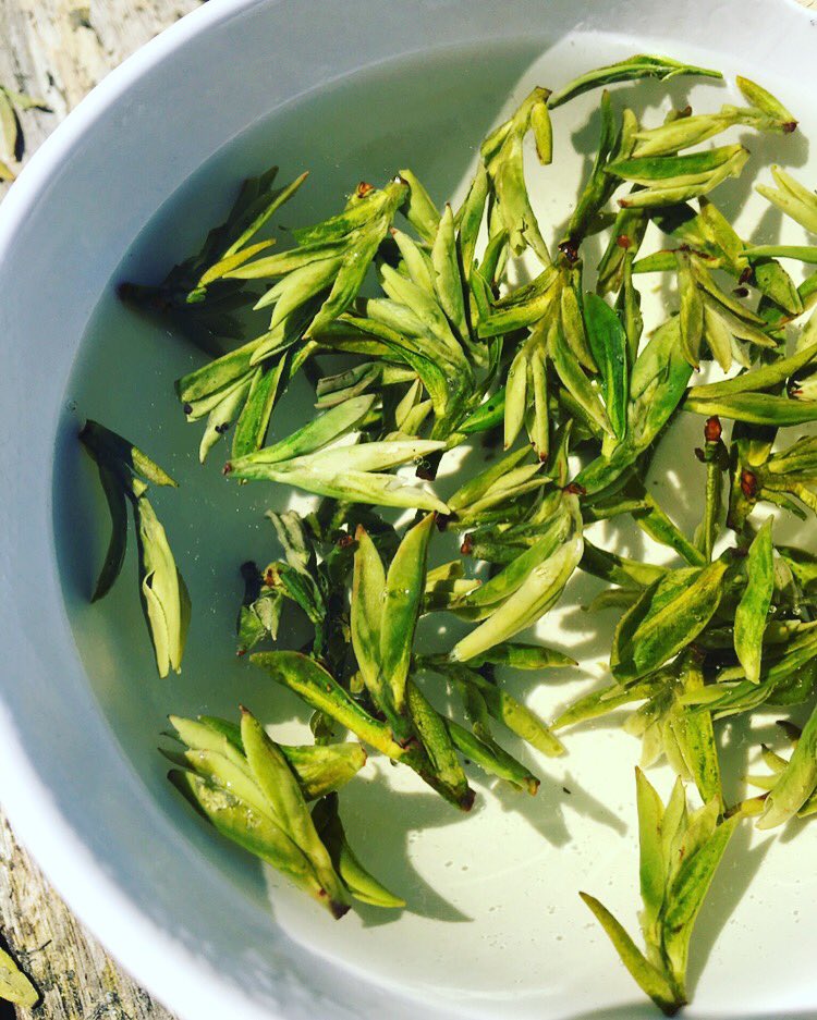 Met de zon in onze kop gaan we het weekend in! #versetheetopjes #inonzetheekopjes #directtrade #zelfhalen #thee #teabuyer #china #🍃