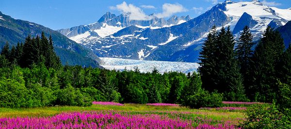 MilMileSecrets's tweet photo. Blog Giveaway: 7,000 Alaska Airlines Miles! - https://t.co/z1XcP7xzAj https://t.co/rMxFYdEIhh