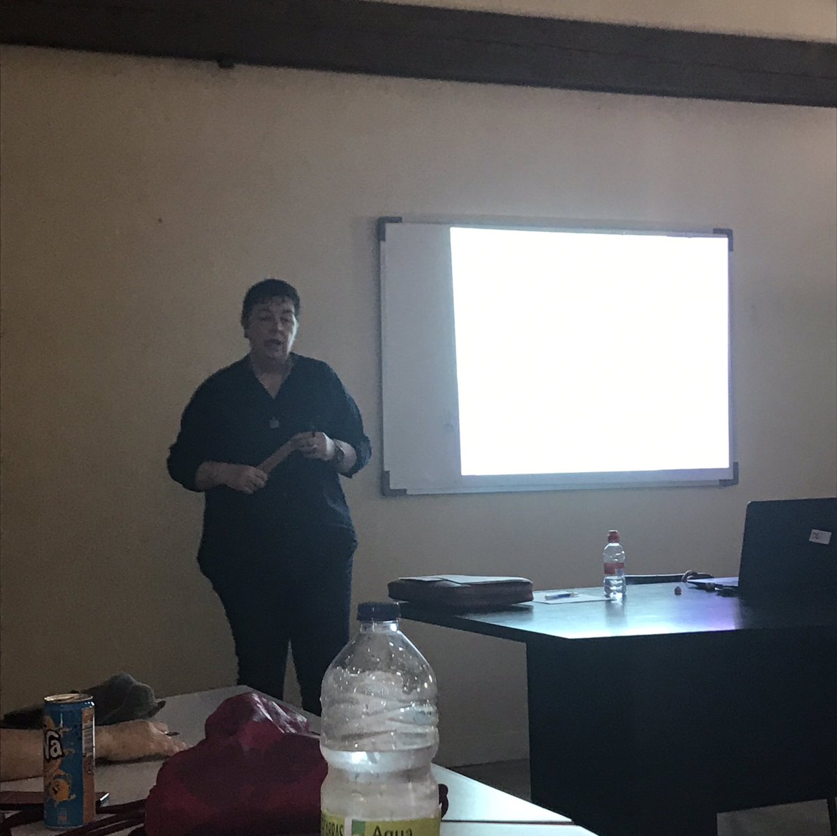 protocolbdv's tweet image. La Maria Ferré introdueix els diferents graus d manifestacions en l'àmbit públic d les agressions i el marc legislatiu vigent