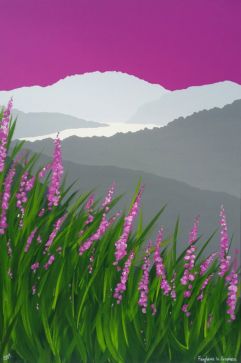 'Foxgloves in Grasmere' soon available from #lakes #art #gallery in #Grasmere #LakeDistrict #NotJustLakes #art #loughriggfell #helmcrag