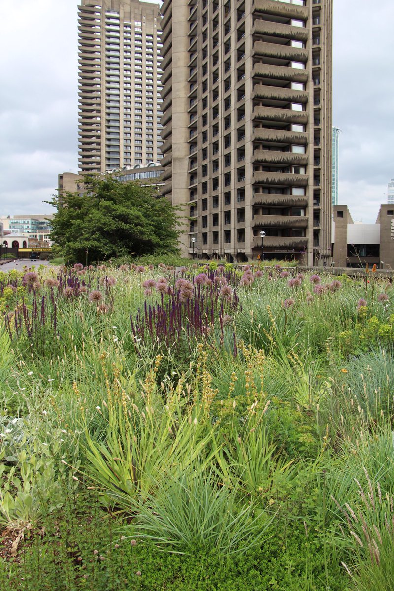 RRog2's tweet photo. RRog op bureau-excursie in #Londen #landscape #architecture #inspiration https://t.co/bO7DG5jnl2