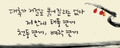 이 계정으로 오랜만이네요. 유승민지지자 여러분♥︎ 지금은 무엇보다... 유승민과 당을 위한 의원님을 당대표로, 또 최고의원으로 지지하는게 더 중요한 일이라고 감히 말씀드립니다. 우리가 유승민을 왜 지지하는지 생각해봐요♥︎