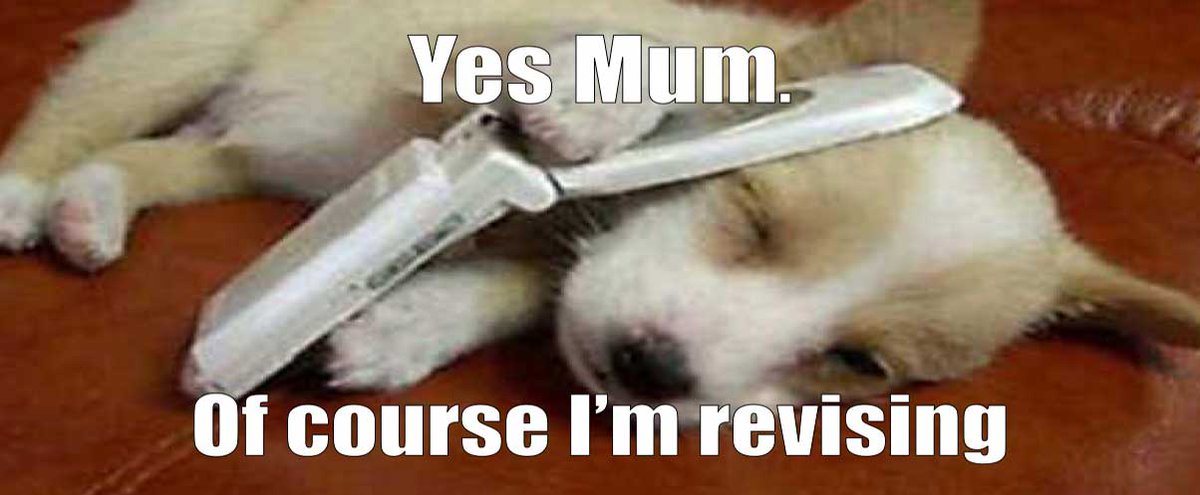 ed_collective's tweet photo. If you're studying - keep it up, we feel for ya!  #StudentLife https://t.co/M6urQBf91m