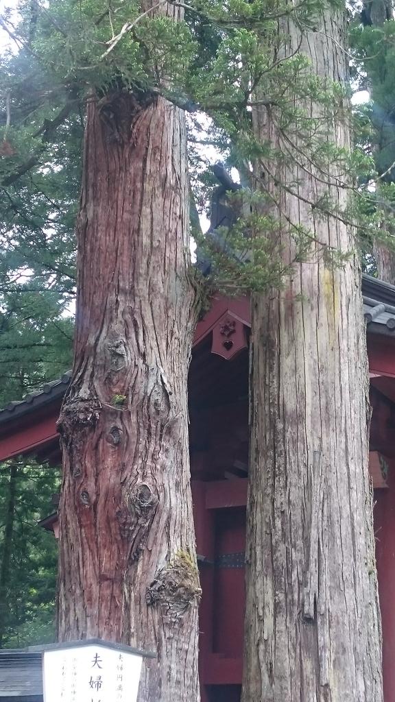 二荒山神社は縁結び 復縁 子宝のパワースポット 日光の聖地 幸せになる