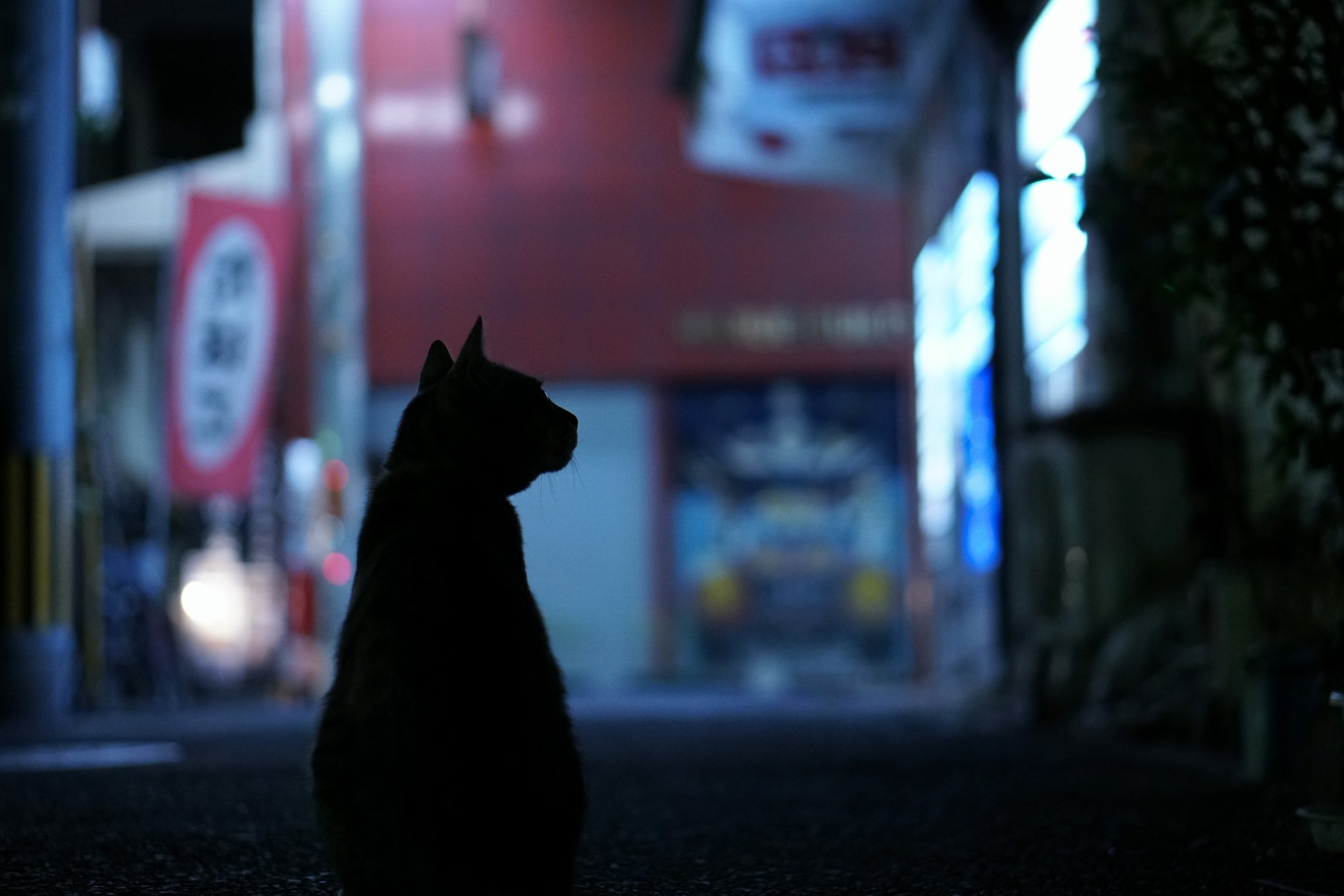 猫シルエット Twitter Search Twitter
