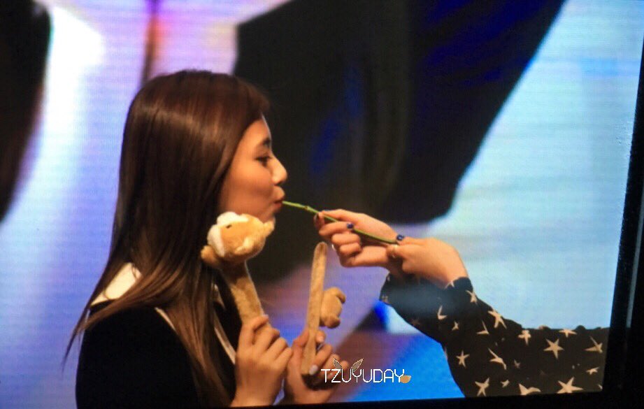 ArabTzuyu's tweet photo. ١٧٠٦١٠ || جويو و تشايونق من حدث توقيع يونقدونقبو
*هل قامت جويو بأكل الورده 👀 !*
 https://t.co/QMVgpdFDKI