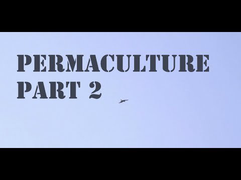 #permaculture Notre Ferme en Permaculture partie 2 - Our Permaculture Farm part 2 - permaculturehq.net/notre-ferme-en… #RT #Retweet