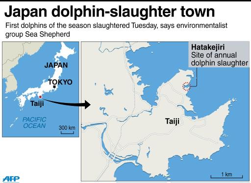 OssipoffEmma's tweet photo. Dolphins bring gifts to humans @ beach resort. They trust us. We shouldn't kill or capture them. #eajapan https://t.co/AcGYVsSVBt
