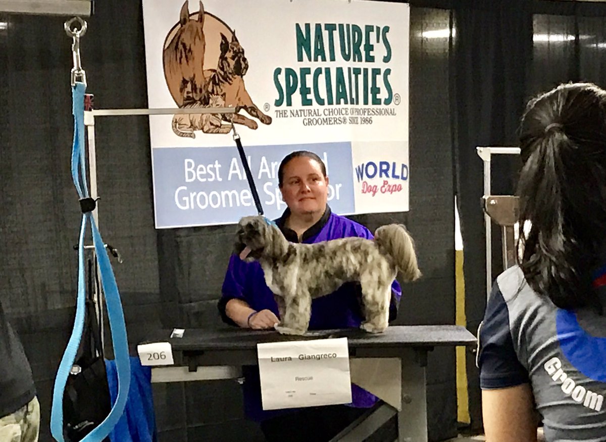 DAT Laura G. Competing in the rescue roundup at World Dog Expo! Great job! @GroomGurl @PetSmart_DaveK <a href="/TeamPetSmart/">PetSmart Grooming Team</a>