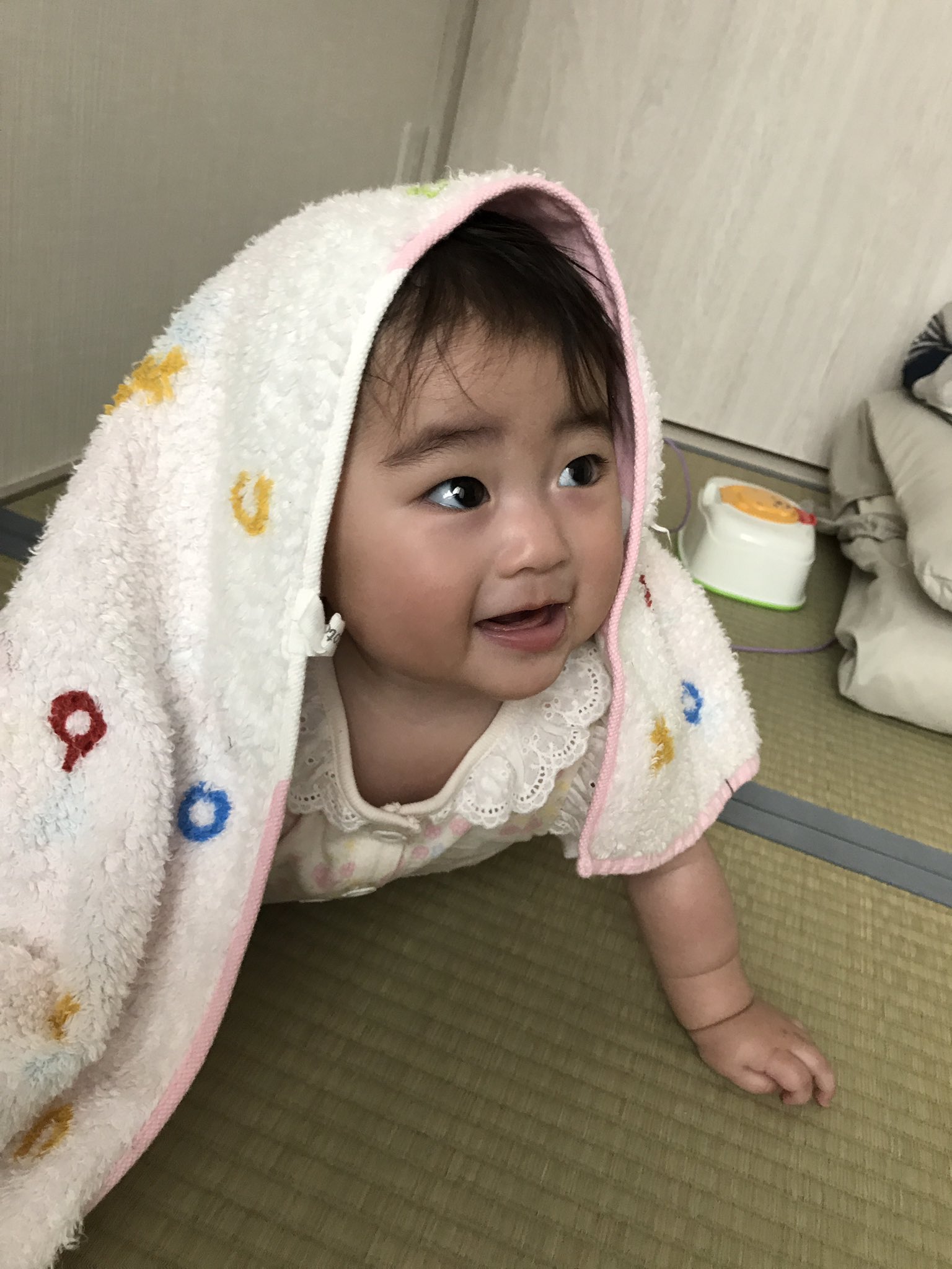 Twitter 上的 柴犬ゆうきshibainu Yuuki タオルと遊ぶお嬢 今日も可愛い パパはメロメロです 赤ちゃん Baby 生後6ヶ月 目が大きい 黒目が大きい 世界一可愛い Cute 親バカ T Co Bxwe1yc64a Twitter Twitter 上的 柴犬ゆうきshibainu Yuuki タオルと遊ぶお嬢 今日も可愛い パパはメロメロです 赤ちゃん Baby 生後6ヶ月 目が大きい 黒目が大きい 世界一可愛い Cute 親バカ T Co Bxwe1yc64a Twitter