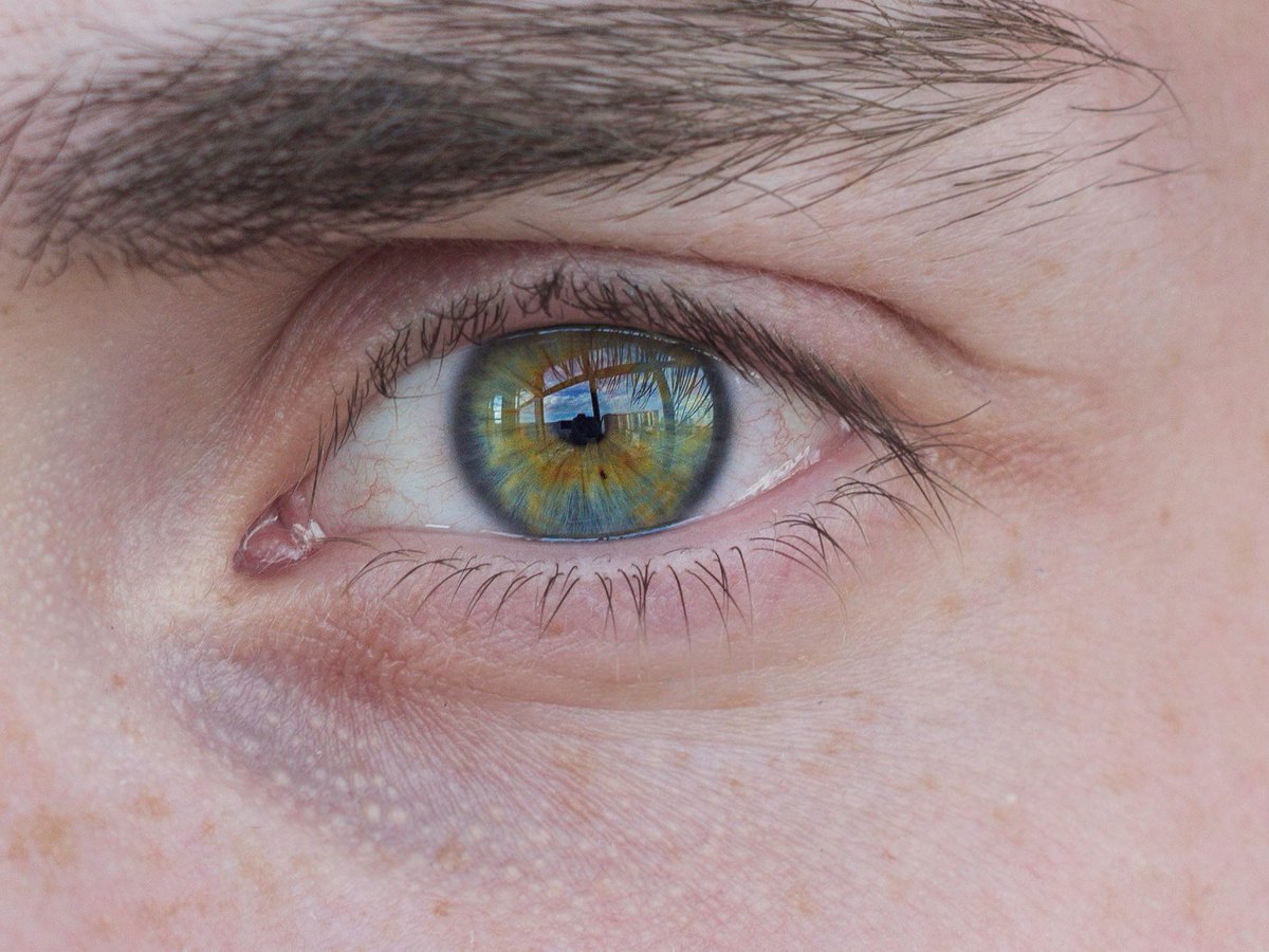 Андрей Шохин (@AndrewSHohin) | Twitter