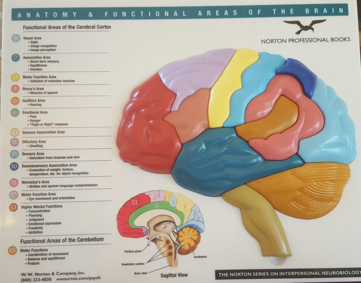 katdaz01's tweet image. Great to meet Gerard from @cbituk @TheStrokeAssoc childhood stroke parent support and information day some fantastic resources available