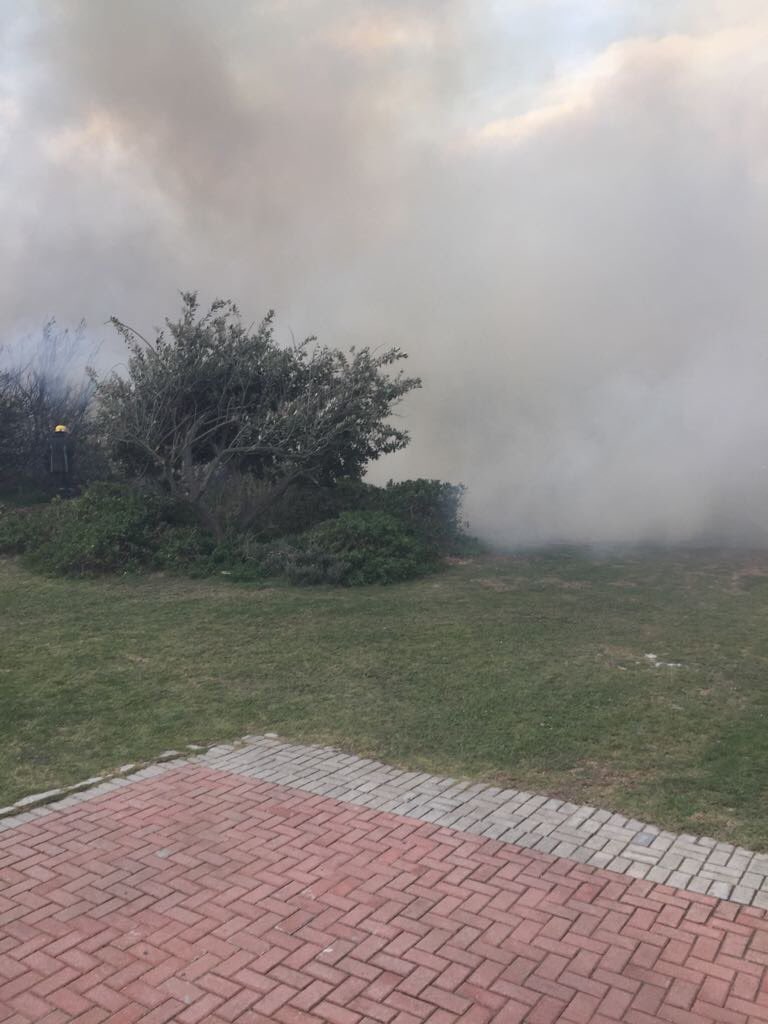 AtholT's tweet photo. NMBM fire teams have held back the blaze in Schoenmakerskop, saving tens of homes in 60kmh winds. These are our heroes! 👏🏽👏🏽👏🏽 #NMBFires https://t.co/uaTiLj2KxN