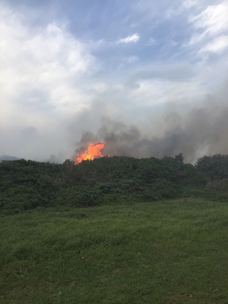 AtholT's tweet photo. NMBM fire teams have held back the blaze in Schoenmakerskop, saving tens of homes in 60kmh winds. These are our heroes! 👏🏽👏🏽👏🏽 #NMBFires https://t.co/uaTiLj2KxN