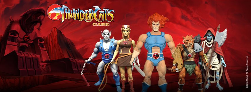 ThunderCatsUlt's tweet photo. We want the ThunderCats Classic toyline to continue with @super7store! @WBHomeEnt, we love these ThunderCats toys! #WeWantThunderCatsClassic https://t.co/6MS6xQeyG0