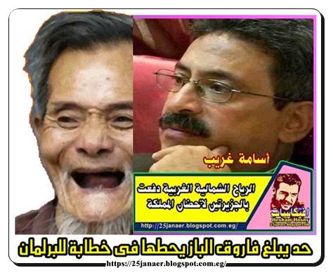 حد يبلغ فاروق الباز يحطها فى خطابة للبرلمان أسامة غريب الرياح الشمالية الغربية دفعت بالجزيرتين لأحضان المملكة