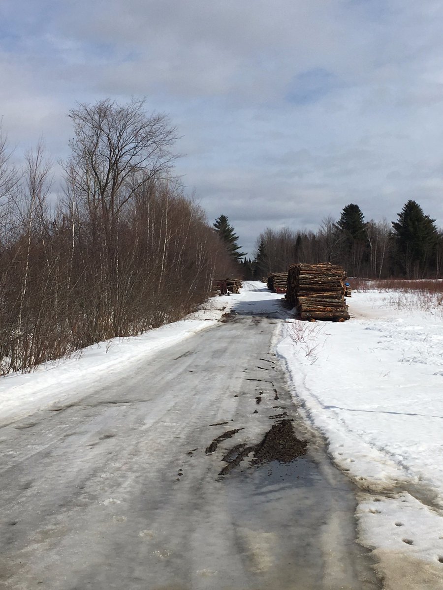 on Twitter "[Nouveau] Terre à bois de 21 hectares (52