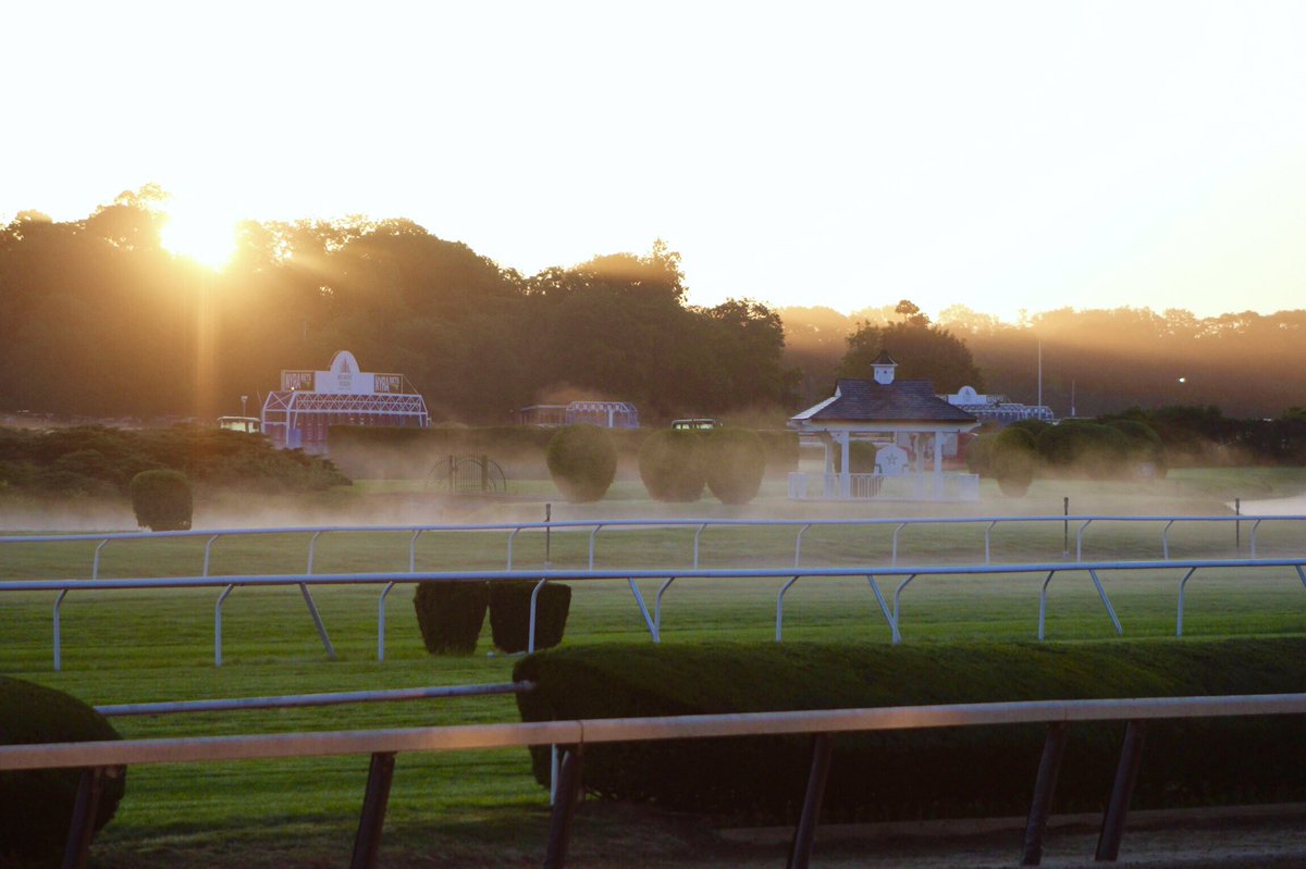 BelmontStakes's tweet photo. The calm before the storm...happy #BelmontStakes day! https://t.co/v4gfLH1Bfm