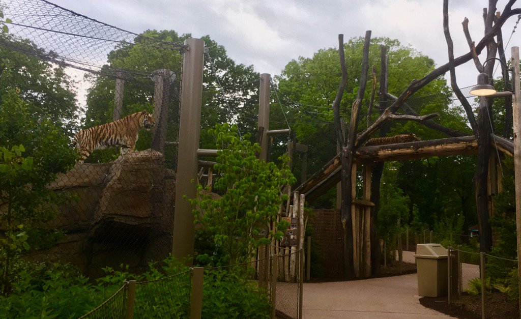 Kletcha checking out his new competition, Hector!