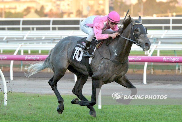 MickDehlsen05's tweet photo. So exciting to watch our boy Urban Ruler win today @FlemingtonVRC ๐๐จ๐ฐ
My first winner at Flemington..๐
Great ride @tomlsadler ๐
#GoUrbie https://t.co/T5y1Nbvja3