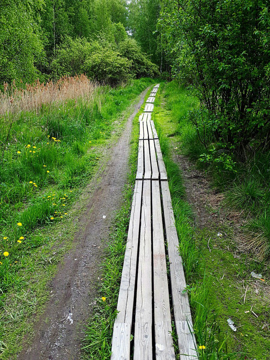 IrinaVartia's tweet photo. MINDFULNESS EI OLE TIE ONNEEN https://t.co/Pw6WXFwuW3 https://t.co/KwqgjKiq3S
