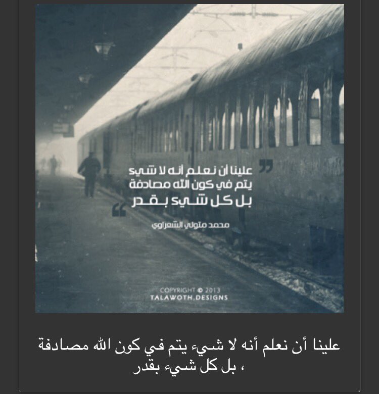 alsha3rawy tweet picture