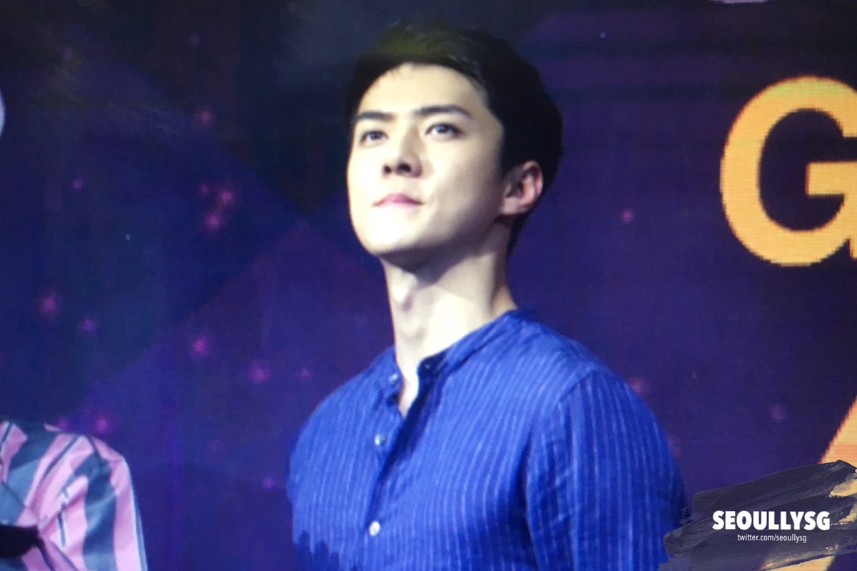 causeway point skechers