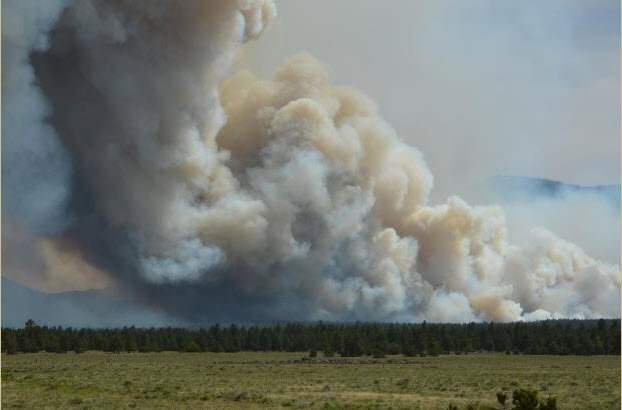 Forest Service_NIFC tweet media