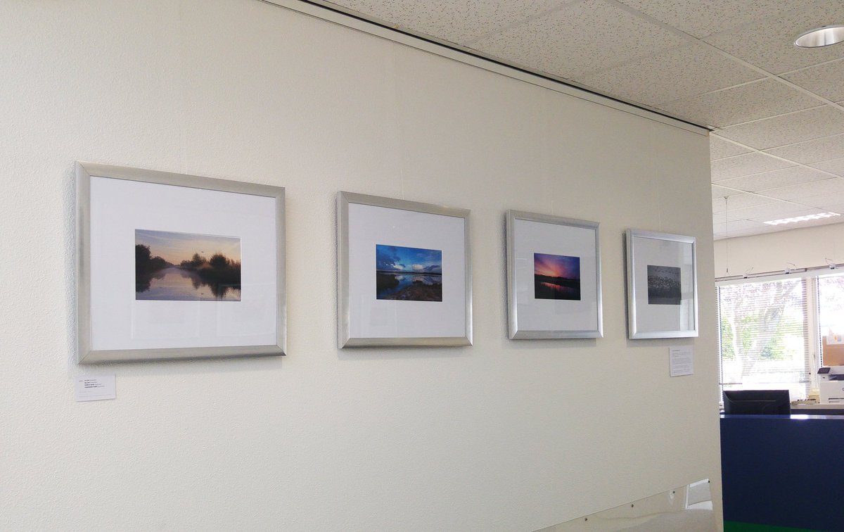 tantepee's tweet photo. Mijn expositie is helemaal klaar en van juni t/m september 2017 te bekijken bij Dierenkliniek Bornego in Heerenveen! https://t.co/tWMGT1K2t8