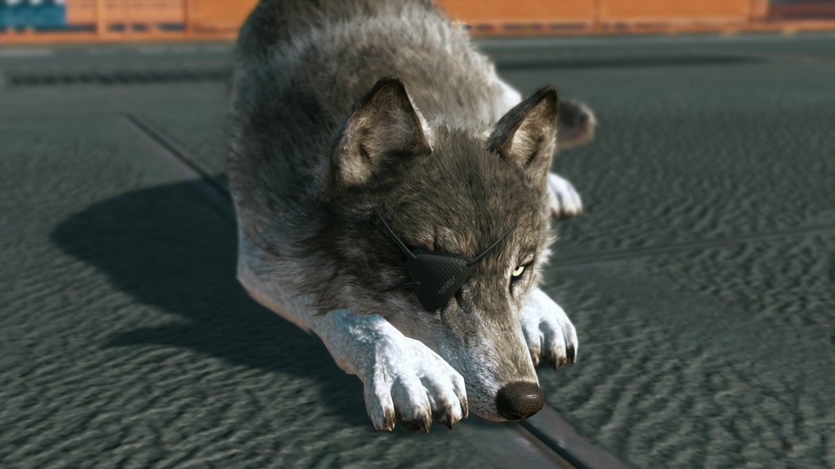 兵隊 白いコンテナの文字を見つけたのはthe Art Of Mgsvで これを見るとkongou Hound Companyはddの偽会社名の一つだと明かされていたので バディのddの眼帯もkongouは架空の会社で実は内製だったんですかね ー T Co Zdljtzrbzj