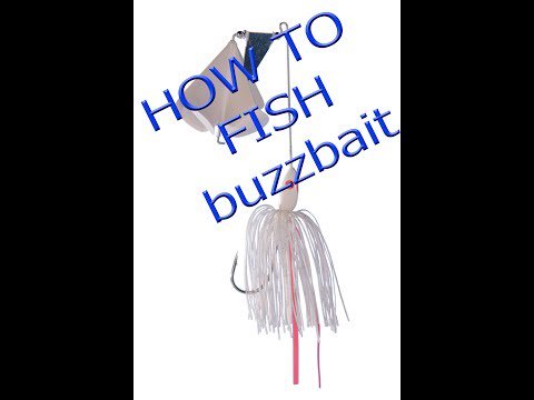Fishing HQ tweet media