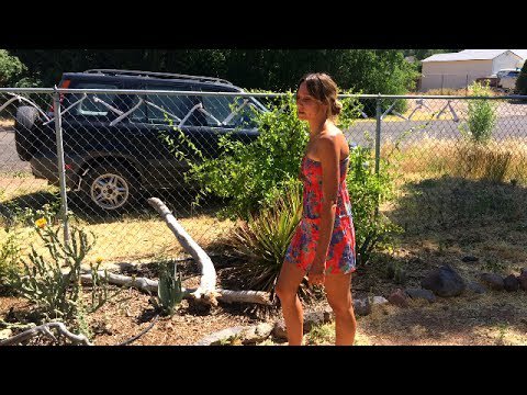 #permaculture Arizona Desert Permaculture Garden: The Doublewide Oasis June 2017 - permaculturehq.net/arizona-desert… #RT #Retweet
