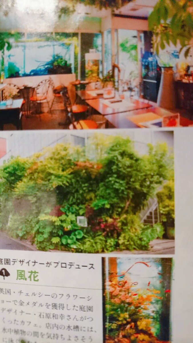 表参道flower カフェ風花 Kazahana Omosan Twitter 表参道flower カフェ風花 Kazahana Omosan Twitter