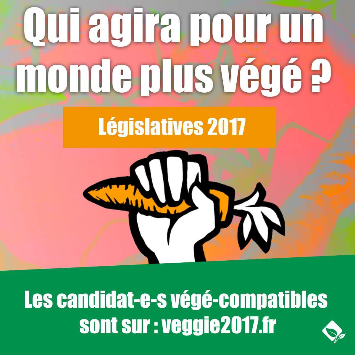 AVF_vege's tweet photo. Vs rêvez D'UN MONDE + VÉGÉ ?
Votez pour un acteur de la #TransitionAlimentaire ! 
►► https://t.co/HMYxBvhZGd 
#Veggie2017 #legislatives2017 https://t.co/66ymkpbBmI