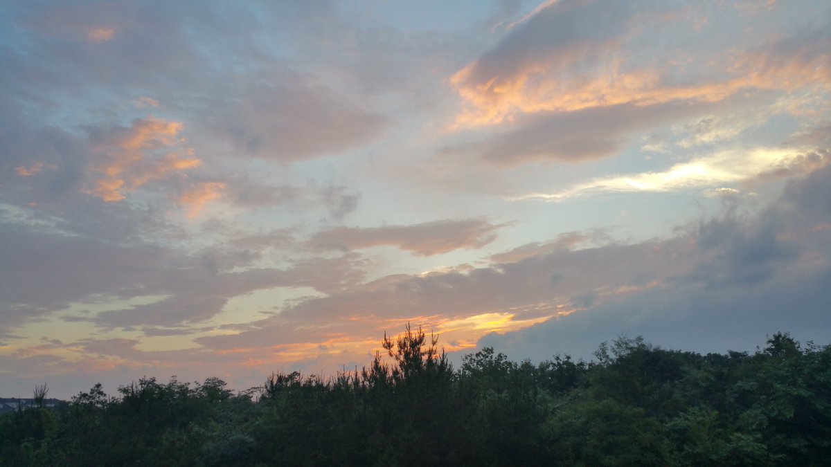 H6ProMAXPlus's tweet image. 