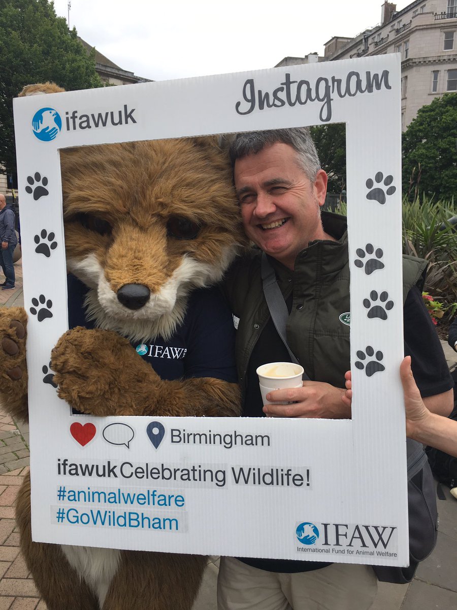 IFAWUK's tweet photo. Great to see @domdyer70 @BFFoundation at the amazing #GoWildBham - come meet us! https://t.co/IrbEphOqFU