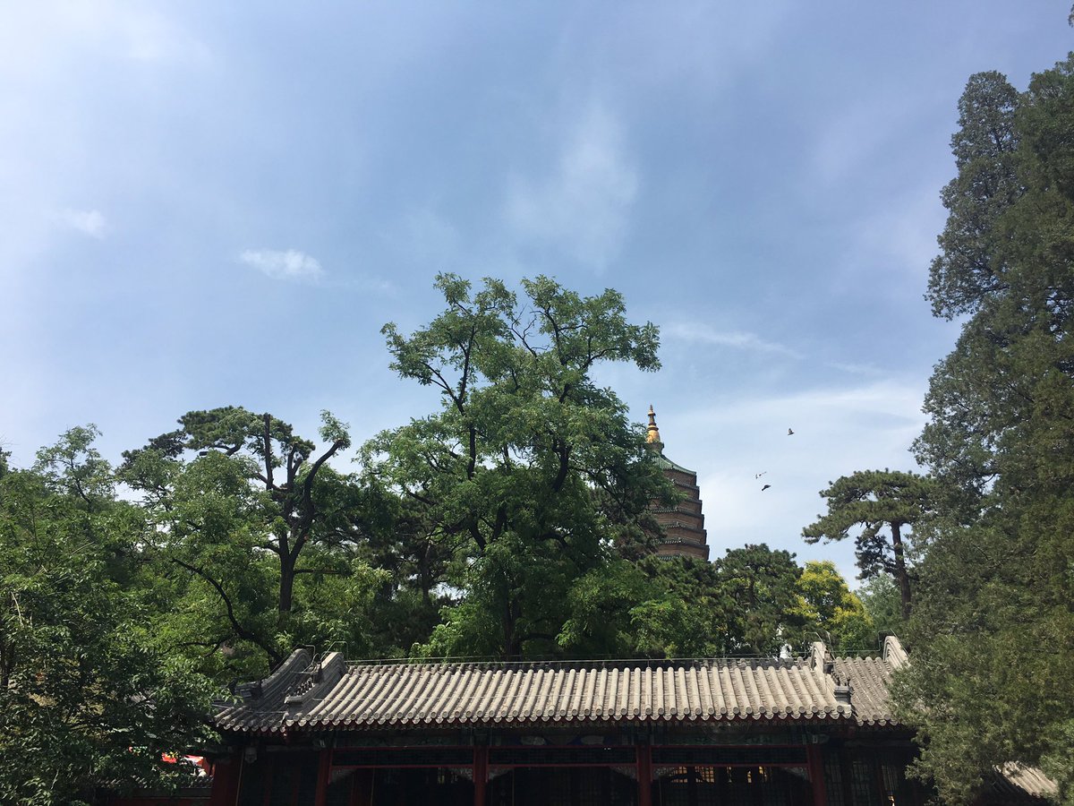 cnbaoguo's tweet photo. 修身养性，健康运动😎 https://t.co/C0vBsGPxuR