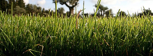 Thanks Common Core tweet media