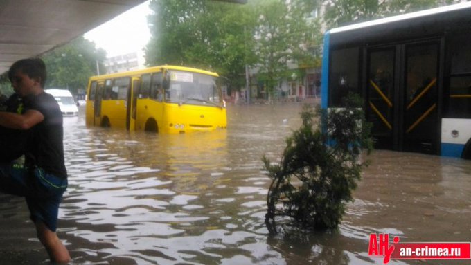 Переглянути зображення у Твіттері