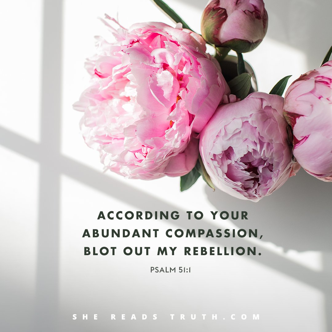 SheReadsTruth's tweet photo. "Be gracious to me, God, 
according to your faithful love; 
according to your abundant compassion,
blot out my rebellion." 
Psalm 51:1 https://t.co/cy9jKM16bd