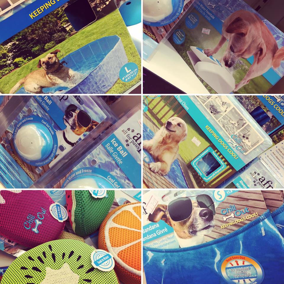 HeartofShires's tweet photo. Hogans Pet Hampers have everything you need to keep your pooch cool this summer! Head over and take a look :) https://t.co/tJEyYASoRV