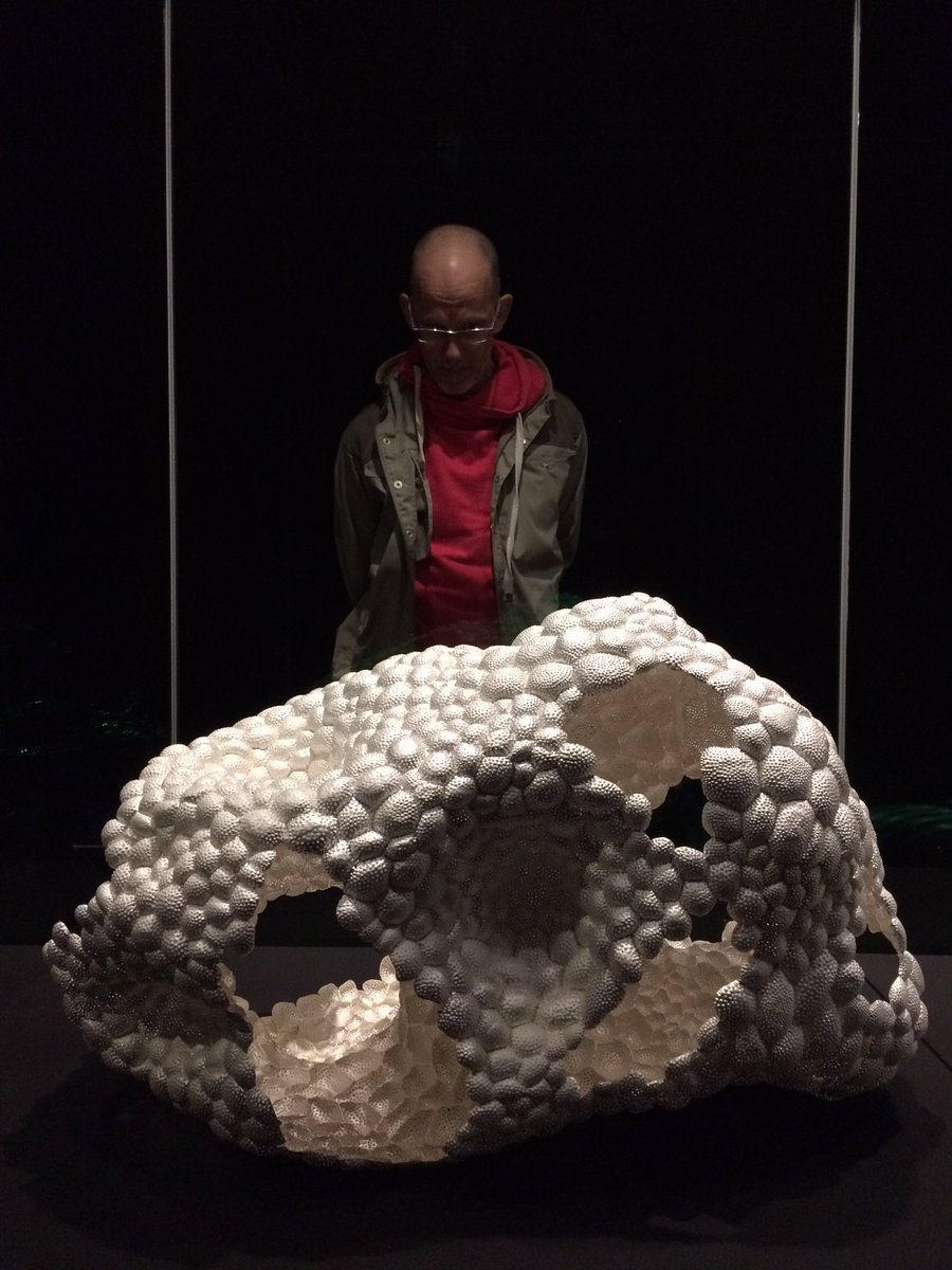 Yvonne Hardman tweet media